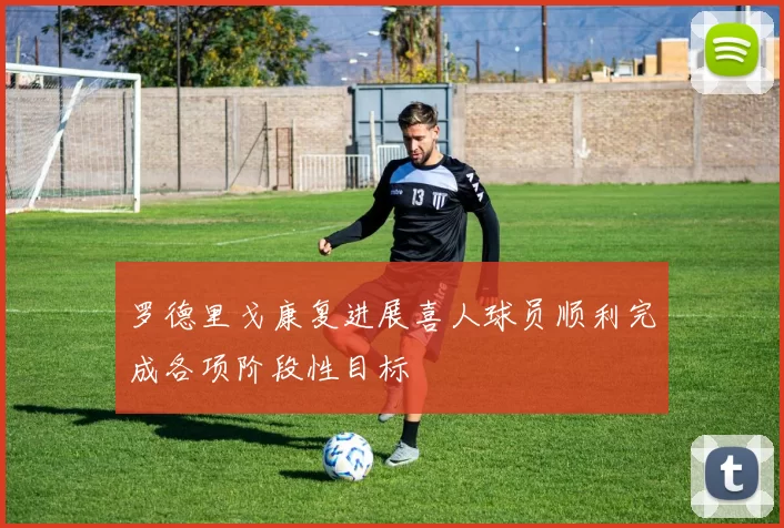 罗德里戈康复进展喜人球员顺利完成各项阶段性目标